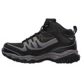 BLACK CHARCOAL